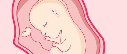 月经不调要怎么备孕？排卵期会有哪些身体反应？