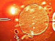 2026年想去通化市做试管婴儿需要准备哪些事？详细收费明细一览