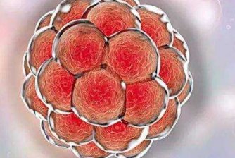 郑州试管私人医院是真的吗？试管私人医院有什么保障？