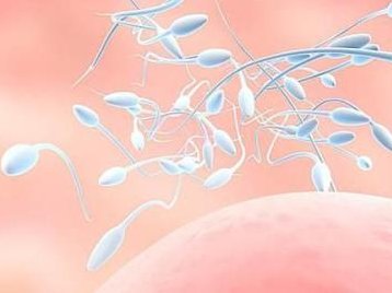 许昌试管婴儿费用纳入医保报销了吗？可以报销的部分有哪些？